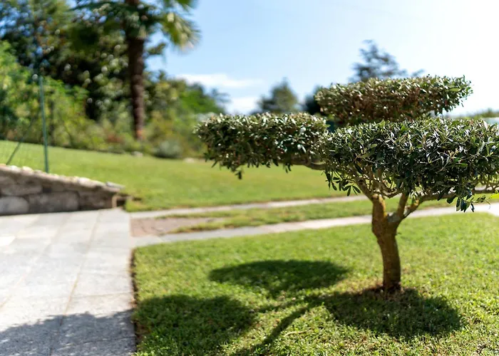 Residenza Jasmine Yellow Appartement Verbania